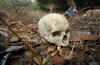 Udupi: Human Skull found at Ajilakadu near Kaup